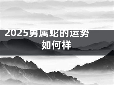 2025男属蛇的运势如何样