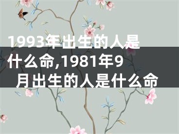 1993年出生的人是什么命,1981年9月出生的人是什么命