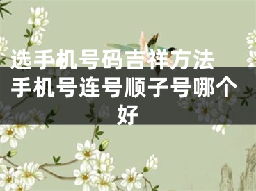选手机号码吉祥方法 手机号连号顺子号哪个好