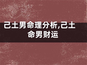 己土男命理分析,己土命男财运