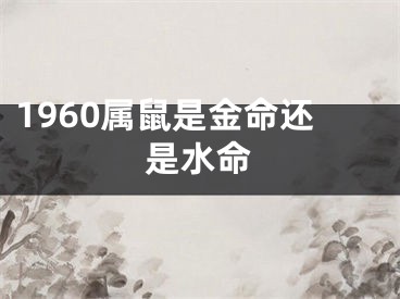 1960属鼠是金命还是水命
