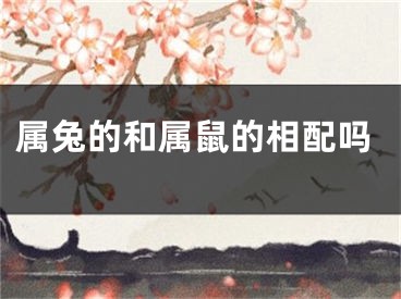 属兔的和属鼠的相配吗