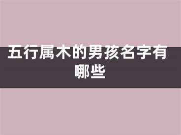 五行属木的男孩名字有哪些