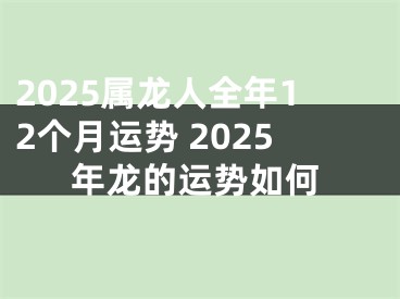 2025属龙人全年12个月运势 2025年龙的运势如何