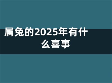 属兔的2025年有什么喜事
