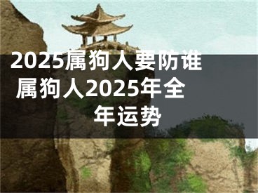 2025属狗人要防谁 属狗人2025年全年运势