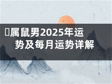 ​属鼠男2025年运势及每月运势详解