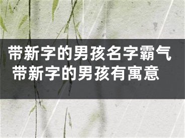 带新字的男孩名字霸气 带新字的男孩有寓意