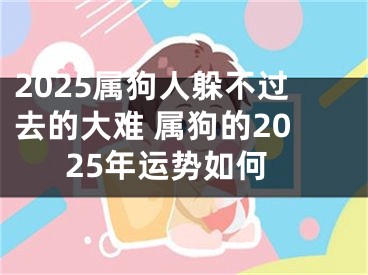 2025属狗人躲不过去的大难 属狗的2025年运势如何