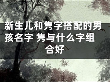 新生儿和隽字搭配的男孩名字 隽与什么字组合好