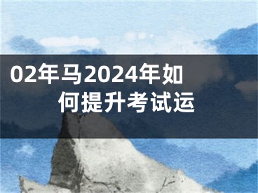 02年马2024年如何提升考试运