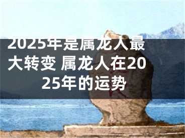 2025年是属龙人最大转变 属龙人在2025年的运势
