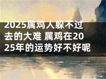 2025属鸡人躲不过去的大难 属鸡在2025年的运势好不好呢