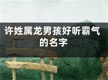 许姓属龙男孩好听霸气的名字