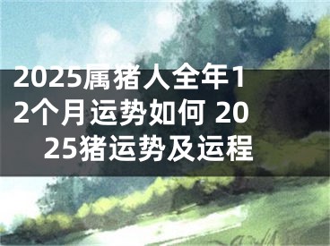 2025属猪人全年12个月运势如何 2025猪运势及运程