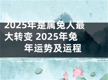 2025年是属兔人最大转变 2025年兔年运势及运程