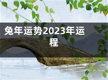 兔年运势2023年运程