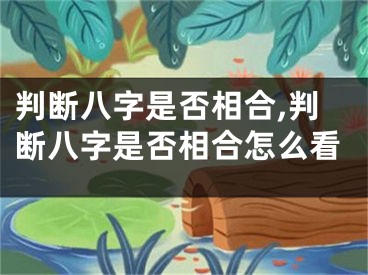 判断八字是否相合,判断八字是否相合怎么看
