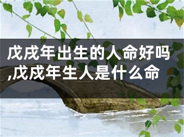 戊戌年出生的人命好吗,戊戍年生人是什么命