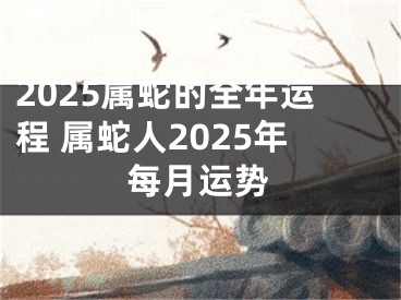 2025属蛇的全年运程 属蛇人2025年每月运势
