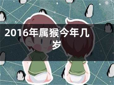 2016年属猴今年几岁