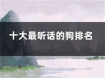 十大最听话的狗排名