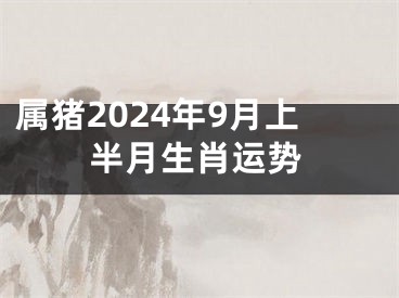属猪2024年9月上半月生肖运势