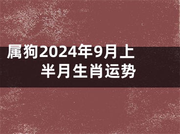 属狗2024年9月上半月生肖运势