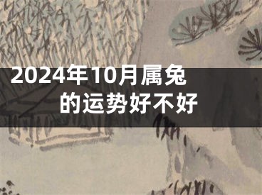 2024年10月属兔的运势好不好
