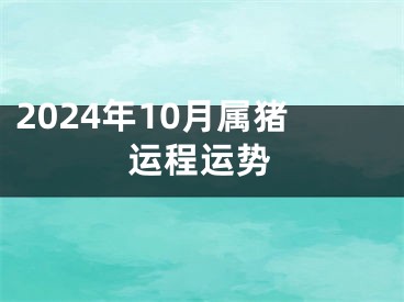 2024年10月属猪运程运势