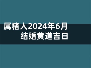 属猪人2024年6月结婚黄道吉日