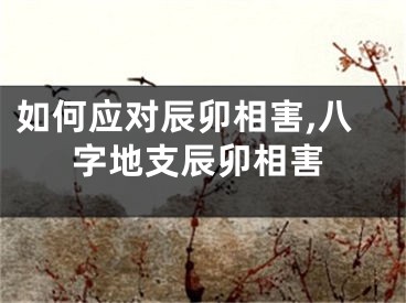 如何应对辰卯相害,八字地支辰卯相害