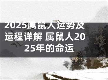 2025属鼠人运势及运程详解 属鼠人2025年的命运