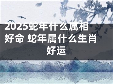 2025蛇年什么属相好命 蛇年属什么生肖好运