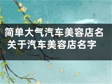 简单大气汽车美容店名 关于汽车美容店名字
