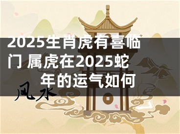2025生肖虎有喜临门 属虎在2025蛇年的运气如何