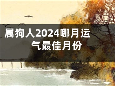 属狗人2024哪月运气最佳月份