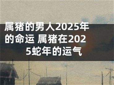 属猪的男人2025年的命运 属猪在2025蛇年的运气