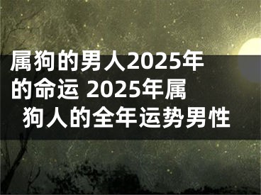 属狗的男人2025年的命运 2025年属狗人的全年运势男性