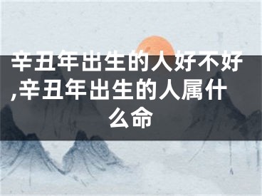 辛丑年出生的人好不好,辛丑年出生的人属什么命