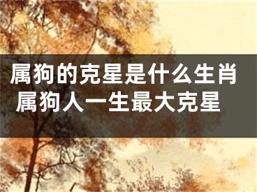 属狗的克星是什么生肖 属狗人一生最大克星