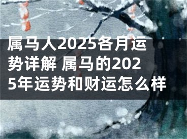 属马人2025各月运势详解 属马的2025年运势和财运怎么样