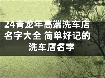 24青龙年高端洗车店名字大全 简单好记的洗车店名字