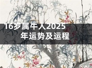16岁属牛人2025年运势及运程