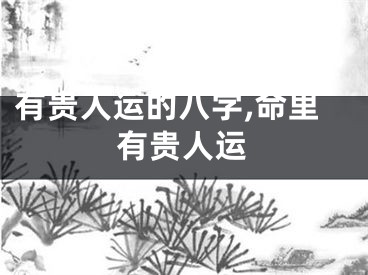 有贵人运的八字,命里有贵人运