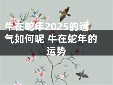 牛在蛇年2025的运气如何呢 牛在蛇年的运势