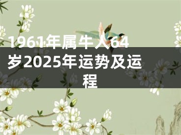 1961年属牛人64岁2025年运势及运程