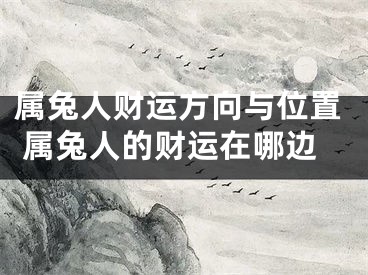属兔人财运方向与位置 属兔人的财运在哪边