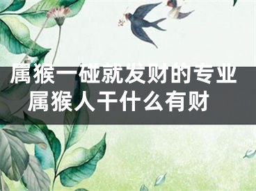 属猴一碰就发财的专业 属猴人干什么有财