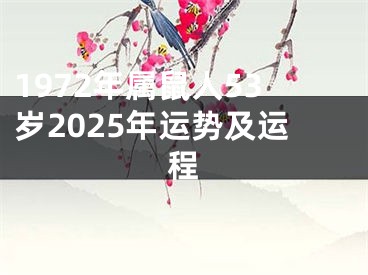 1972年属鼠人53岁2025年运势及运程